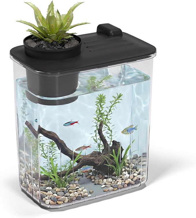 0.8 Gallon Betta Fish Tank Aquarium Starter Kit with Light and Lid(Black) | Premium Acrylic Aquarium with Light and Lid, Crystal Clear Starter Kit for Betta Fish, Shrimp, Snails and Small Fish