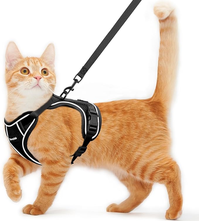 Cat Harness and Leash for Walking Escape Proof Soft Adjustable Cat Leash Breathable Comfortable Vest Easy to Wear Kitten Harness for Outdoor Travel (Black, M (13-18lb))