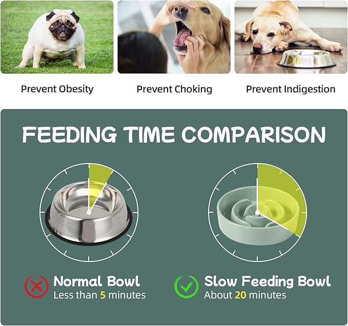 Havniva Ceramic 0.9 Cup Raised Dog Slow Feeder Set, Elevated Bowl with Wooden Stand for Small Dog and Cat, 6.1inch Puzzle Slow Dog Food Dish, Anti-Gulping(Light Green, Single Bowl+ Stand)