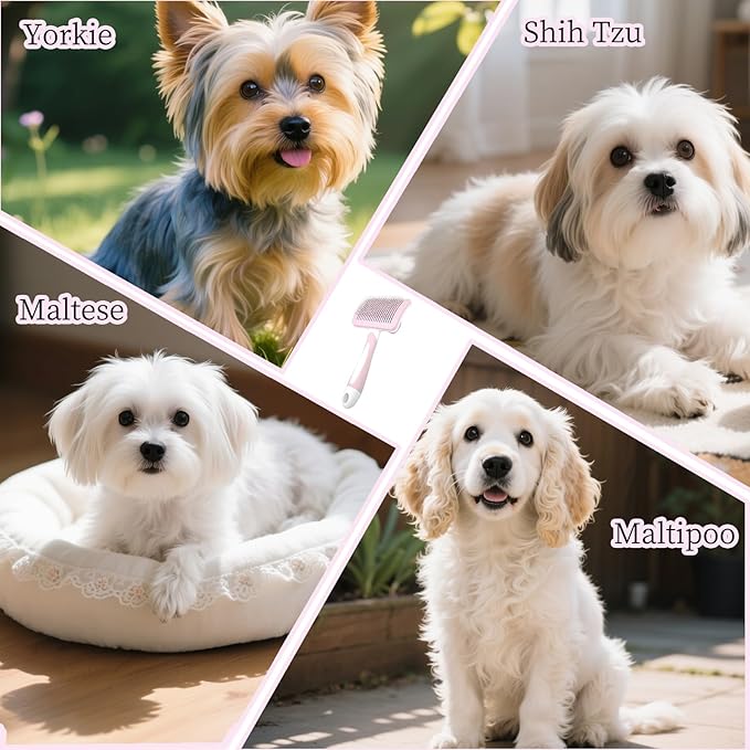 Self Cleaning Slicker Dog Brush for Small Long-Haired Breeds, One-Click Hair Removal, Puppy Essentials, Fit Yorkie, Shih Tzu, Maltese, Maltipoo, Pomeranian, Pet Grooming Tool (Light Pink)