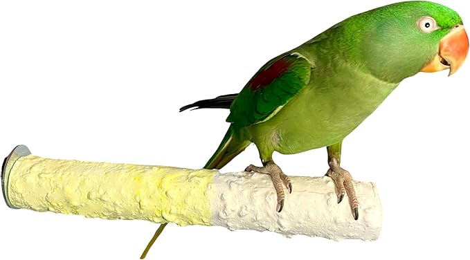 Polly's Edible Cuttlebone Calcium Bird Cage Perch for Budgies, Parakeets, Amazons, Blue & Golds, Macaws and Cockatoos.… (Pineapple, Large)