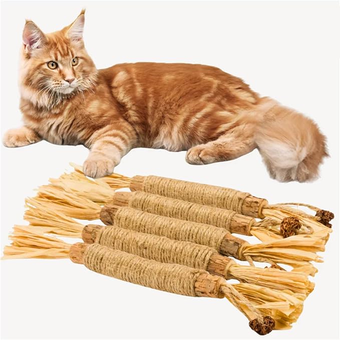 5PCS Purriq Natural Silvervine Dental Sticks, 100% Natural Silvervine Sticks