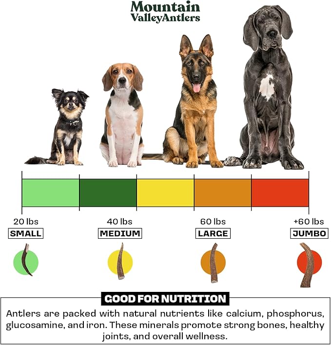 Mountain Valley Mixed Species Antlers for Dogs - 100% Natural & Organic Chew for Aggressive Chewers, No Odor, No Mess, Long Lasting - Wild-Foraged Naturally Shed Antler in USA - Grade A Pack (1 LB)