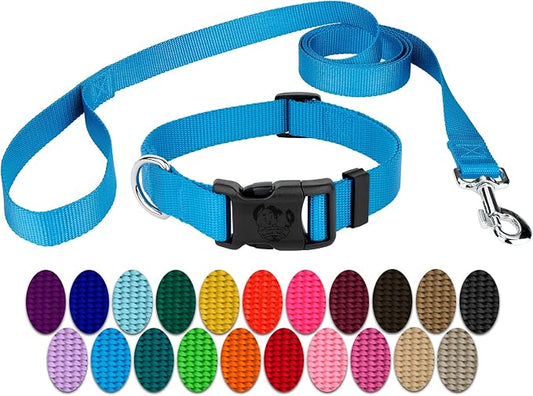 Country Brook Petz - Everyday Nylon Dog Collar and Leash - 10+ Cool Colors (3/8 Inch, 3XS, Ice Blue)