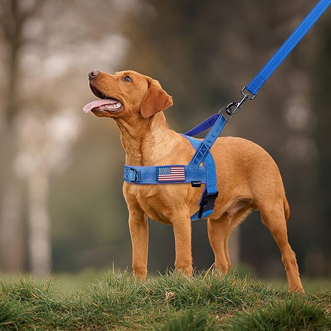 Annchwool No Pull Dog Harness with Soft Padded Handle,Reflective Strip Escape Proof and Quick Fit to Adjust Dog Harness,Easy for Training Walking for Small & Medium and Large Dogs(Blue,L)