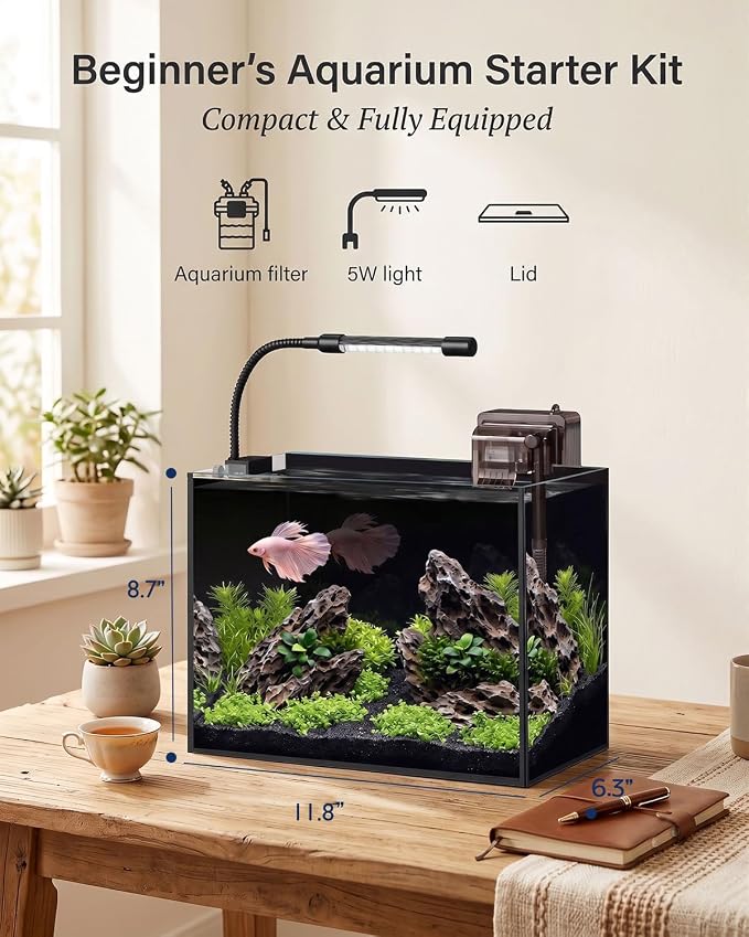 2.5 Gallon Nano Aquarium Starter Kit, Rimless Glass Fish Tank | Leak-Proof Complete Starter Kit for Betta & Goldfish with Filter, Adjustable LED Light, Filtration & Easy Setup