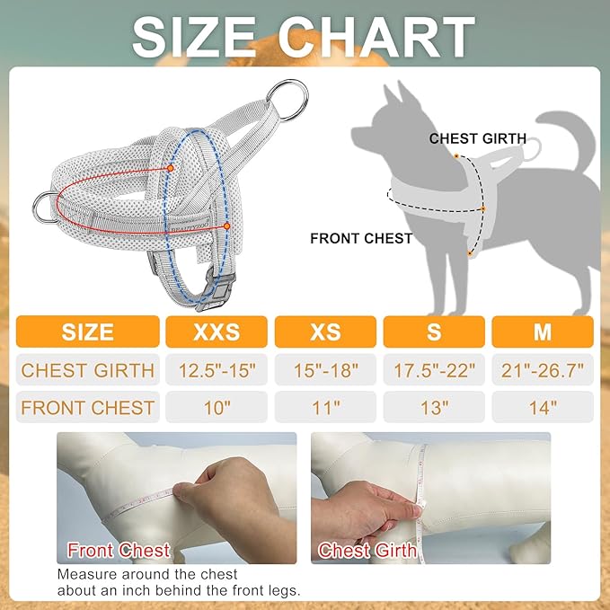 BEAUTYZOO Dog Harness for Small Dogs, No Pull Dog Harness and Leash Set, Soft Escape Proof Puppy Vest Harness with Handle, Reflective Lightweight Step in Harness for Girl Boy Dogs, Orange XS
