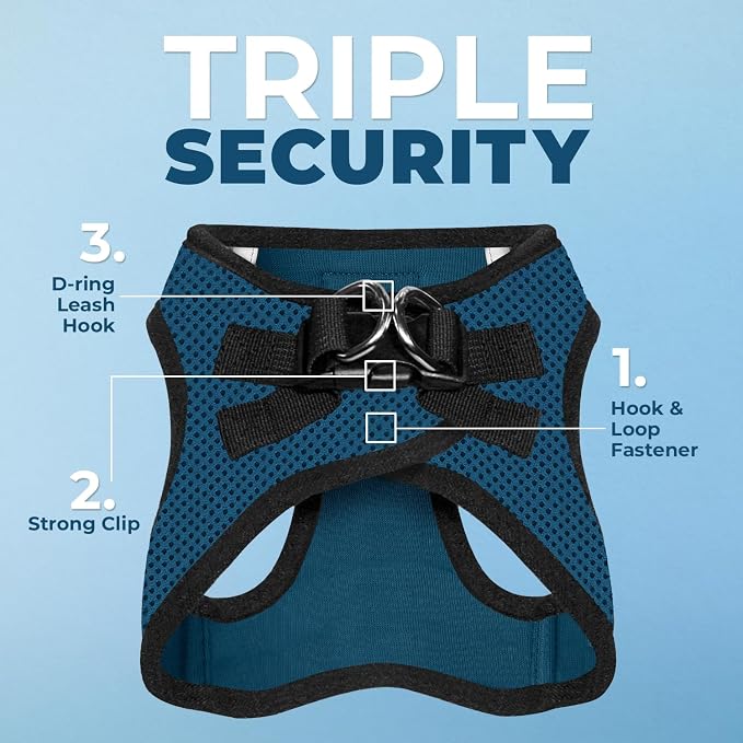 Best Pet Supplies Voyager Step-in Air All Weather Mesh Harness and Reflective Dog 5ft Leash Combo with Neoprene Handle, for Small, Medium and Large Breed Puppies - Blue/Black Trim, Small