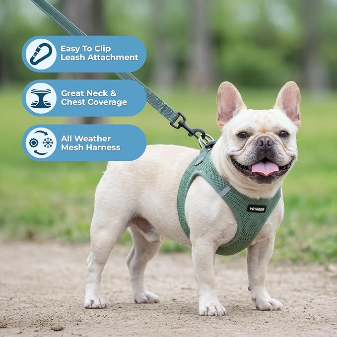 Best Pet Supplies Voyager Step-in Air All Weather Mesh Harness and Reflective Dog 5ft Leash Combo with Neoprene Handle, for Small, Medium and Large Breed Puppies - Moss Green, XXS