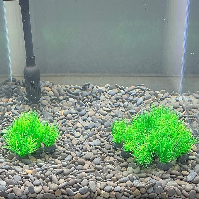 Aquarium Plant Fish Tank Decoration 20 Pieces Small/1" Tall Plastic Artificial Plant Goldfish Hidden Mini Grass Set (Green-C)
