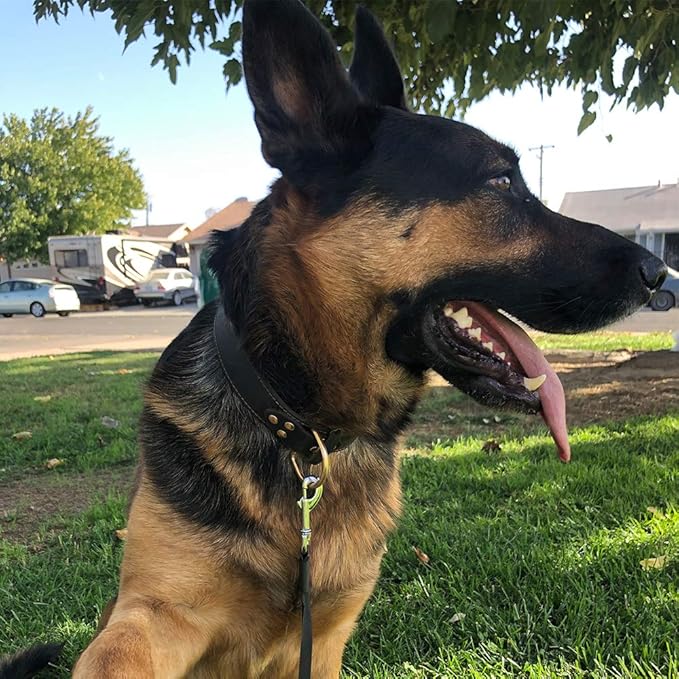 Genuine Leather Dog Collar, Heavy Duty Wide Dog Collar for Small, Medium, Large and Extra Large Dog (XL: 1.4" Wide for 18.6"-25.8" Neck, Single Stitch - Black)