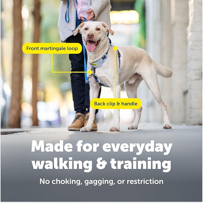 PetSafe Easy Walk Comfort No-Pull Dog Harness - Better Walk Training Harness - Full Body Padded Design - Durable Fabric - 5 Point Adjustable Fit - Everyday Leash Training - Blue - Large