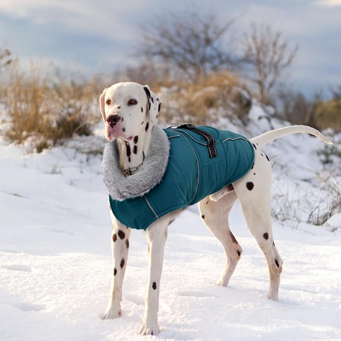 Lelepet Warm Dog Coats for Large Dogs Waterproof Dog Winter Jacket Reflective Pet Fleece Vest Windproof Cold Weather Coats with Adjustable Buckle & Leash Hole, Dark Green, XXL