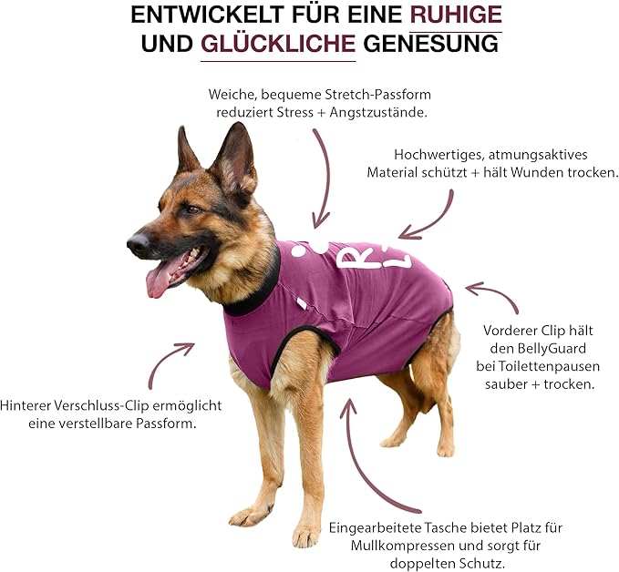 BellyGuard Dog Surgery Recovery Suit, Dog Onesie for Post-Op Care, Recovery Apparel for Female and Male, Surgical Body Cover for Canine Healing Support