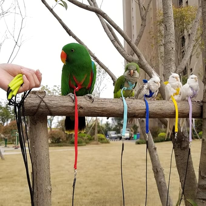 Adjustable Bird Harness with Elastic Leash, Pet Parrot Harness and Leash, Adjustable Training Design Anti-Bite, Bird Nylon Rope with Cute Wing for Conure (White,L)