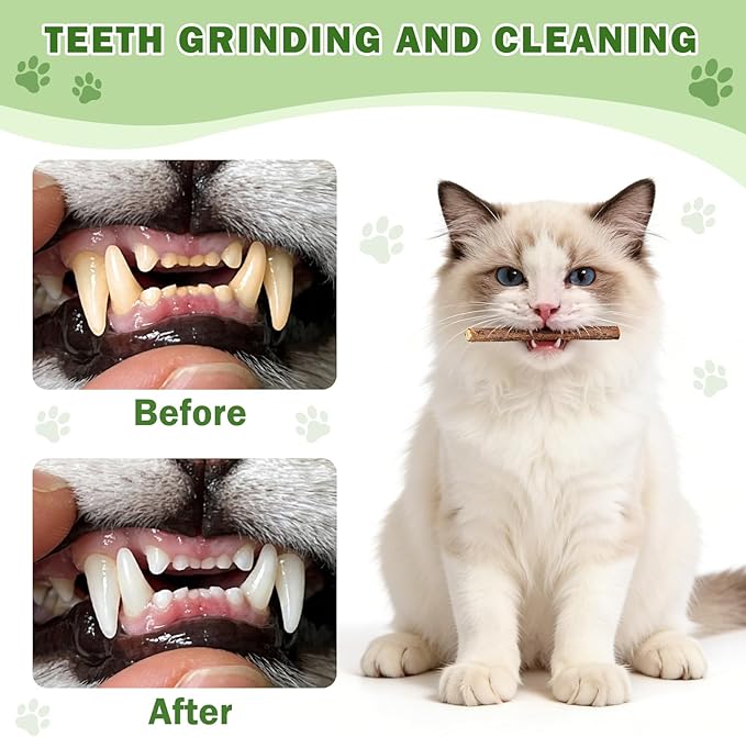 [10 Pack] Silvervine Sticks for Cats, Natural Chew Stick for Dental Care Teeth Cleaning, Cat nip Chew Rope Toys for Bored Indoor Kittens, Catmint Silvervine Blend Toys