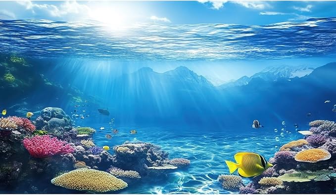 Under The Sea Aquarium Background Underwater Scene Coral Reefs Fish Tank Background Diverse Marine Life Sunlight Seascape Terrarium Backgrounds Tropical Undersea View Aquarium Tank Backgrounds 36x20in