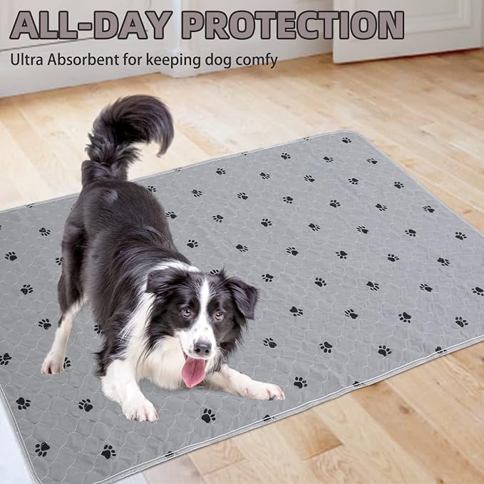 PUPTECK Washable Pee Pads for Dogs - 2 Pack 48" x 60" Waterproof Reusable Puppy Potty Training Pads Whelping Mat - Fast Absorption Non-Slip Pet Food Feeding Mat - Pad for Small Animals