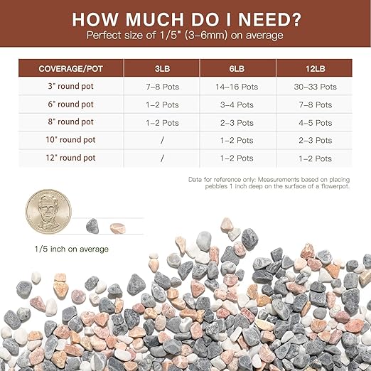 NUPICK 6 lbs Pebbles for Indoor Plants, 1/5 Inch Pea Gravel for Fish Tank, Decorative Rocks for Succulent, Natural River Stones for Vases, Cactus, Landscaping, Bird Bath, Aquarium, Mixed