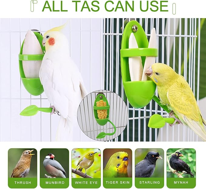 2 Pack Cuttlebone with 3 in 1 Food Holder, Natural Cuddle Bones for All Pet Birds Cockatiels Parakeets Budgies Finches(5.5~6 Inch, Midium Size)