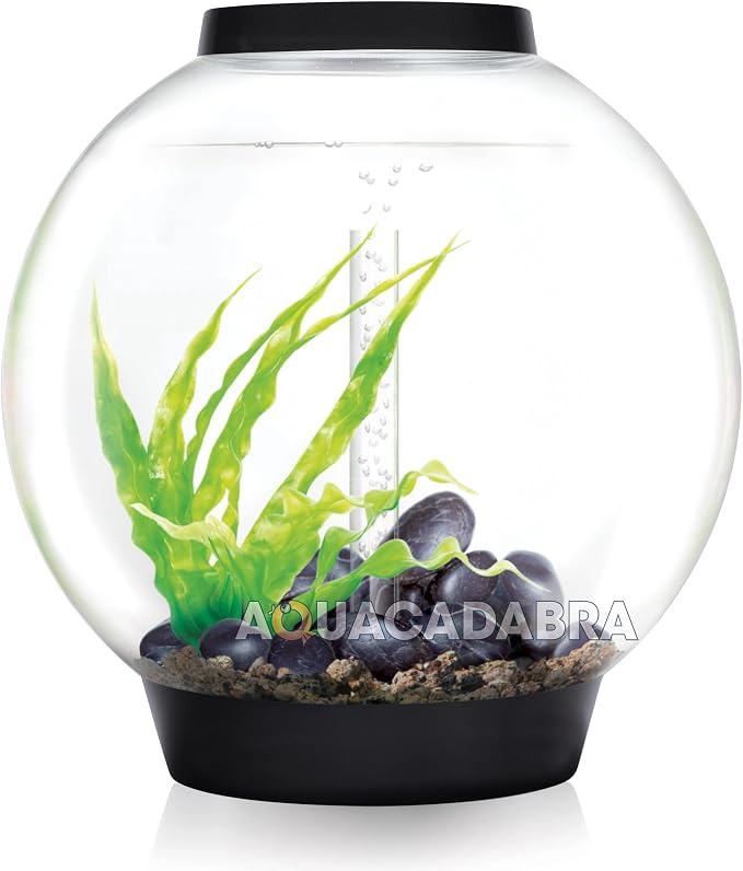 biOrb Classic 60 Acrylic 16-Gallon Aquarium with Multi-Color Remote-Controlled LED Lights Modern Tank for Tabletop Display, Black