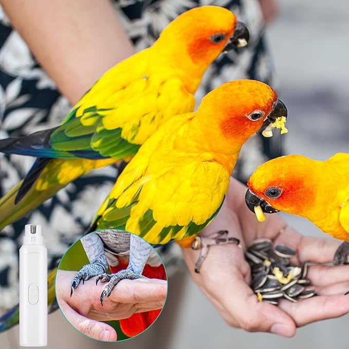 Lasnten 2 Pcs Bird Nail Grinder with Clipper Bird Nail Trimmer File Pet Grooming Tool for Parrot Budgerigars Parakeets Myna Conure Finches Lovebirds(White)
