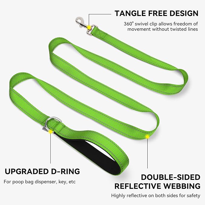 Joytale Dog Leash, 5 FT Double-Sided Reflective, Padded Handle Nylon Heavy Duty Leashes for Medium & Large Dogs Walking, Green