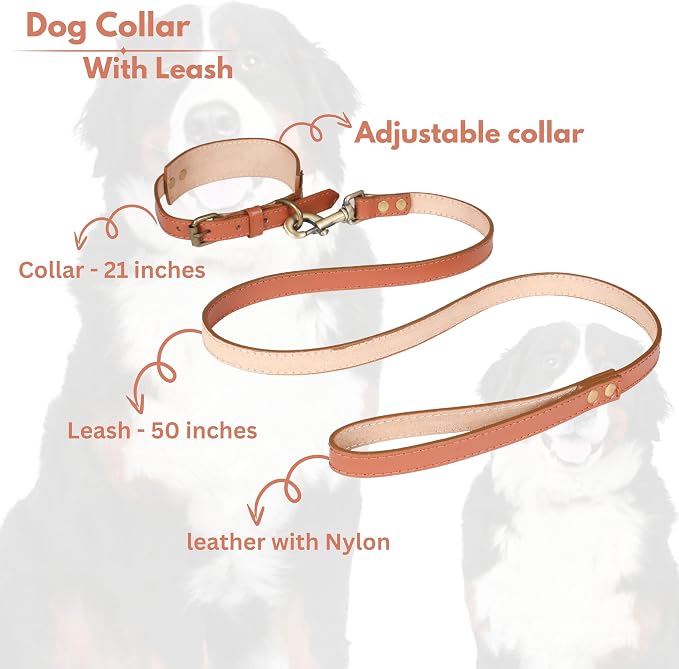 Lightnpro 21" Adjustable Tan Leather Dog Collar & Leash Set - Durable Soft Leather Collar with Leash - Comfortable, Heavy-Duty Walking & Training Gear for Large Breeds