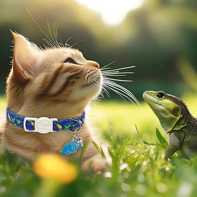 2 Pack Boy Cat Collars - Blue Shark & Dinosaur Breakaway Safety Cat Collars, Adjustable Soft Boy Kitten Collar for Small Dogs Puppy, Cute Pet Collar with Bell & Pendant