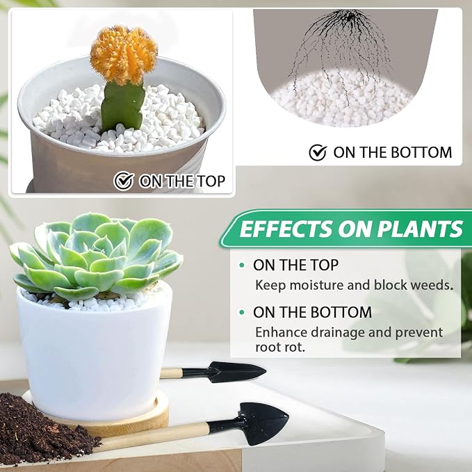 Succulent Rocks for Plants Tiny Pebbles for Planters 2.8LB Pea Gravel Bulk Course Sand Soil Small Decorative Stones for Indoor Bonsai Pots Cactus Top Dressing Aquarium Garden Landscape, White