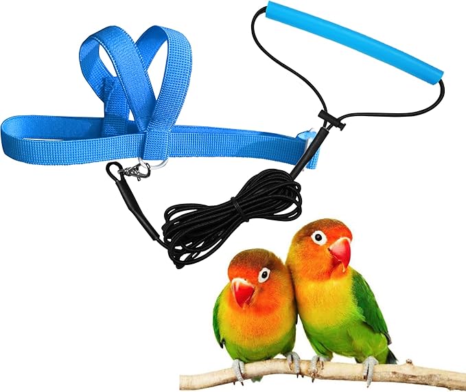 Pet Parrot Bird Harness Leash Adjustable Bird Flying Harness Traction Rope with Cute Wing for Parrots Pigeons Budgerigar Lovebird Cockatiel Mynah Outdoor Training Toy (Blue,XS)
