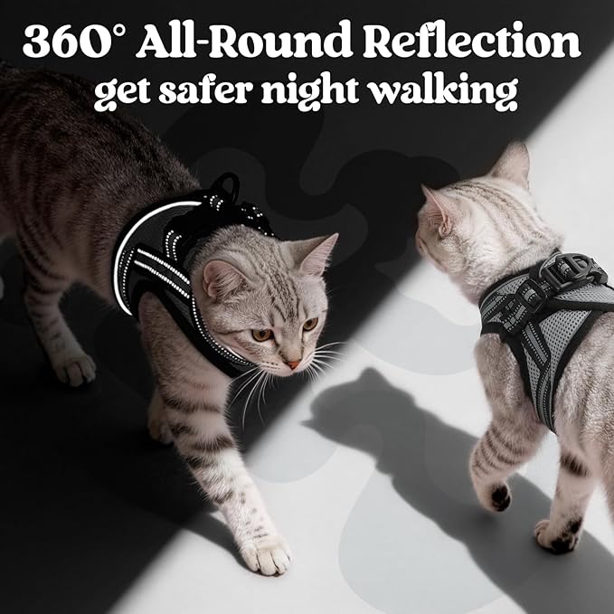 rabbitgoo Cat Harness and Leash Set for Walking Escape Proof, Adjustable Soft Kittens Vest with Reflective Strip for Cats, Comfortable Outdoor Vest, Grey, S