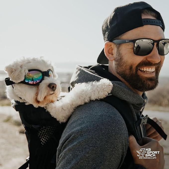 K9 Sport Sack Plus 2 - Small, Jet Black - Ideal for Dogs 13-16” Long - Adjustable, Backpack-Style Carrier with Multi-Functional Storage Pack, Thick Shoulder Straps & Padded Back Panel