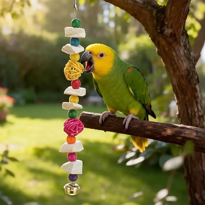 Bird Toys with Cuttlebone, Prevents Destructive Chewing, Grinding Stone for Bird, White, Colorful, 2 Pcs