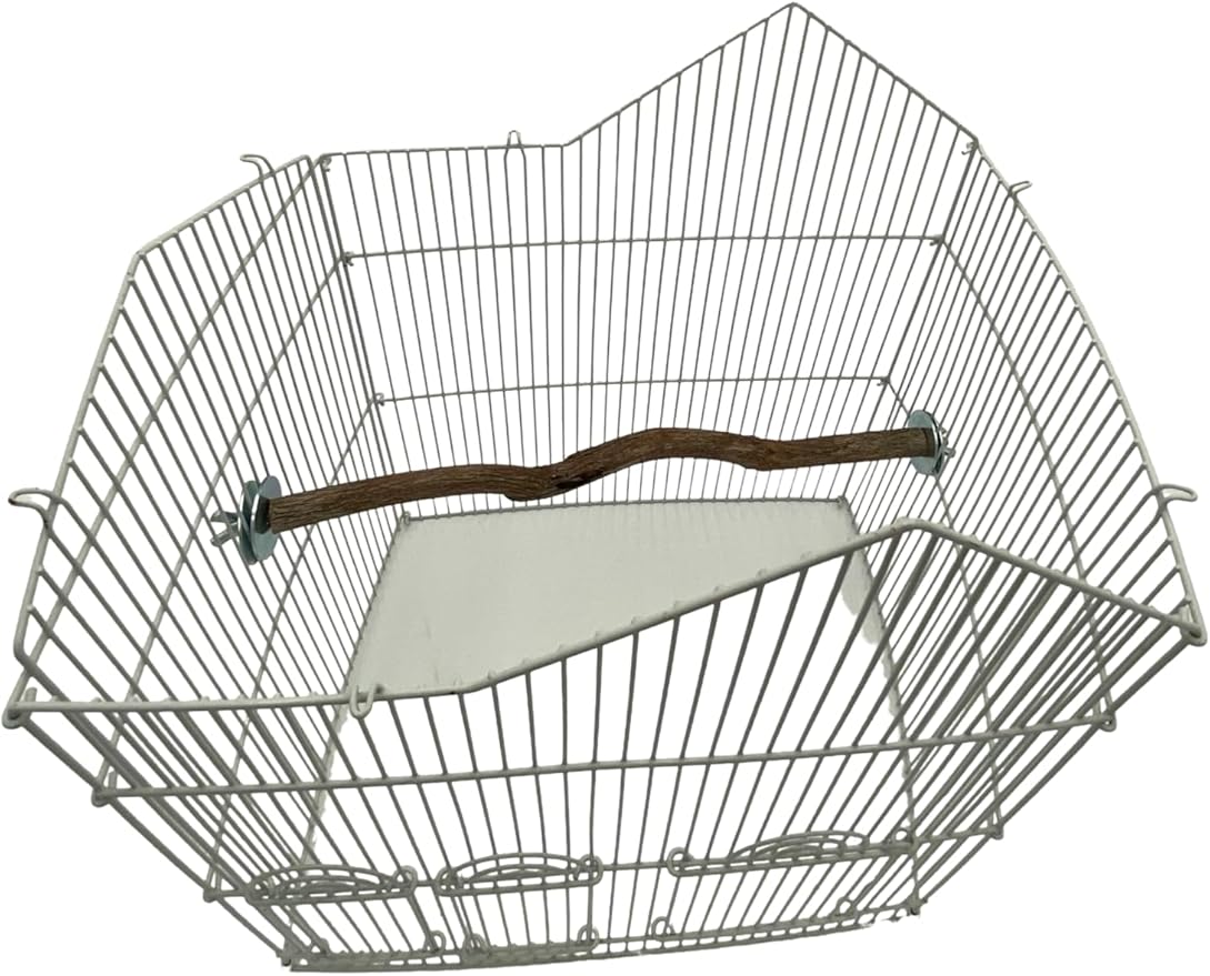 Polly's Full Length Hardwood Bird Perch, 18-Inch