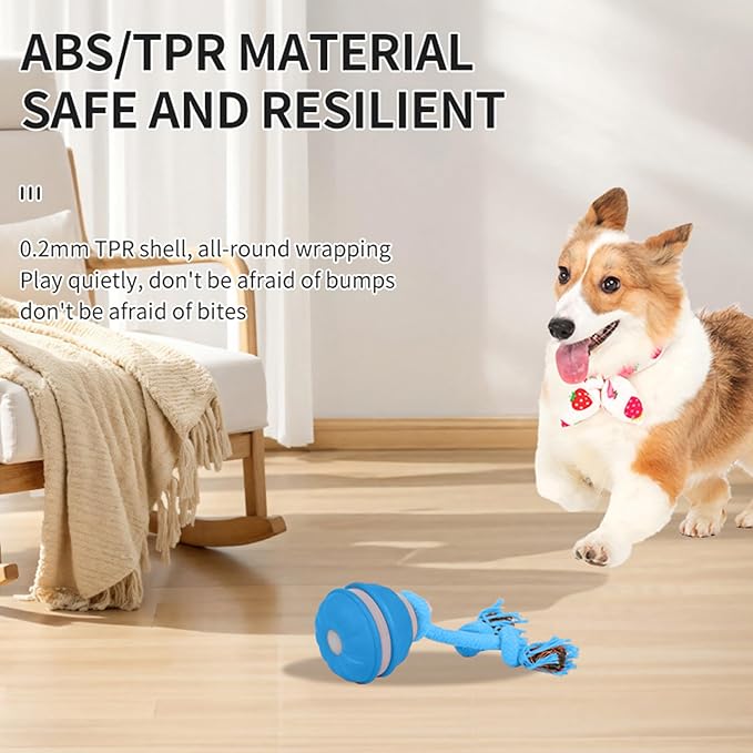 Interactive Dog Toys Dog Ball,Automatic Rolling and Bouncing Moving Dog Toy,Squeaky Rolling Balls with Flashing Light,USB Rechargeable Chew Toys for Puppy Small Dogs, Pet Ball to Keep Them Busy