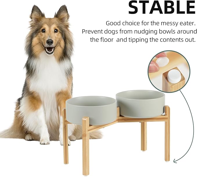 Havniva Ceramic Raised Double Bowls Set with Stand, Food & Water Bowls for Large Breed Dogs, Weighted Dog Dishes, Pet Bowl(8.2'',60OZ, Grey)