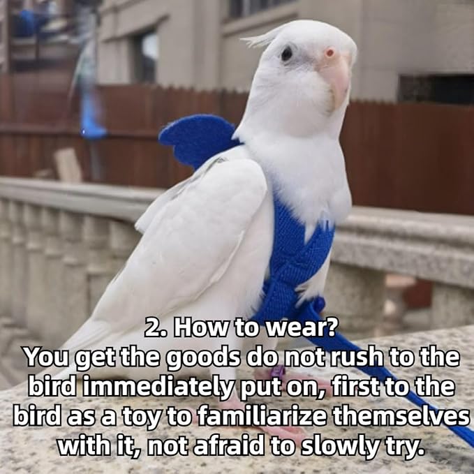 Pet Parrot Bird Harness and Leash, Adjustable Training Design Anti-Bite, Bird Nylon Rope with Cute Wing for Lovebird Budgie African Grey Macaw Conure (Pink,Sulphur-Crested Cockatoo)