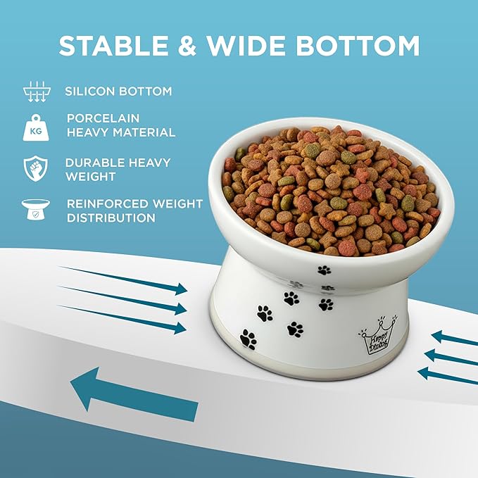 Necoichi Raised Cat Food Bowl – Ceramic Elevated Cat Bowl for Whisker & Neck Fatigue, Dishwasher Microwave Safe – Non-Slip & Anti Vomiting Ergonomic Design (Cats, Large)
