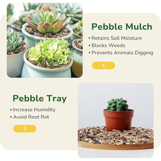 GreatBuddy 2.5-lb Pebbles for Indoor Plants, 3/8" Pea Gravel for Vases, Small Rocks for Succulents, Fish Tanks, Aquariums, Terrarium, Drainage Pebbles for Potted Plants, River Rocks for Landscaping