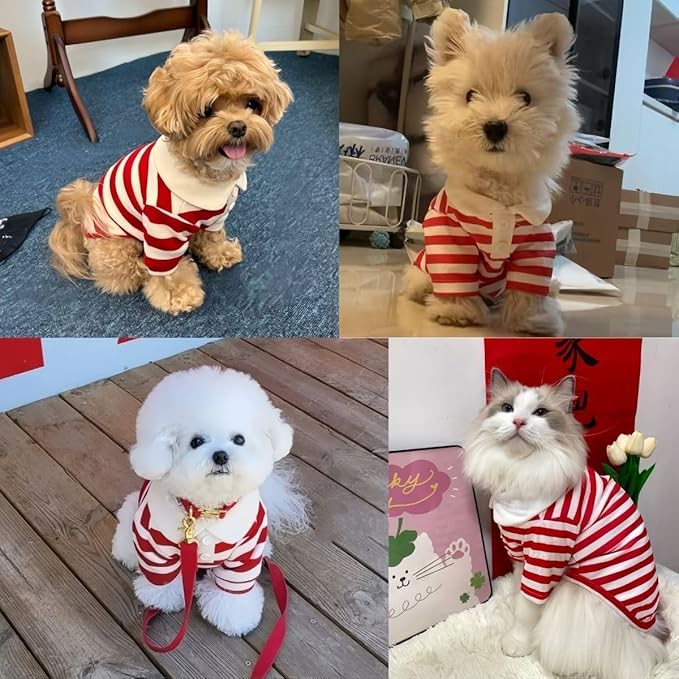 MANON ROSA Dog Clothes, Designer Boy Polo Shirt for Small Medium Dogs, Soft Puppy Outfit, Breathable Male Yorkie Chihuahua Shih Tzu Poodle Kitten Cat T-Shirt, Birthday Gifts - Red, XXL, Fit 16-22lbs