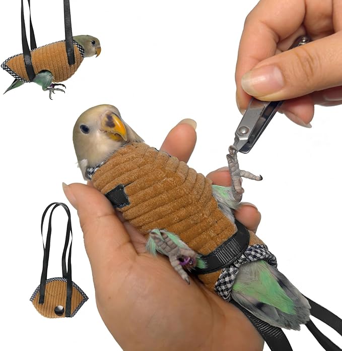 Parrot Bird Harness Leash with Cute Wing, Flying Harness Traction Rope for Budgerigar Lovebird, Outdoor Training Toy (Middle Brown)