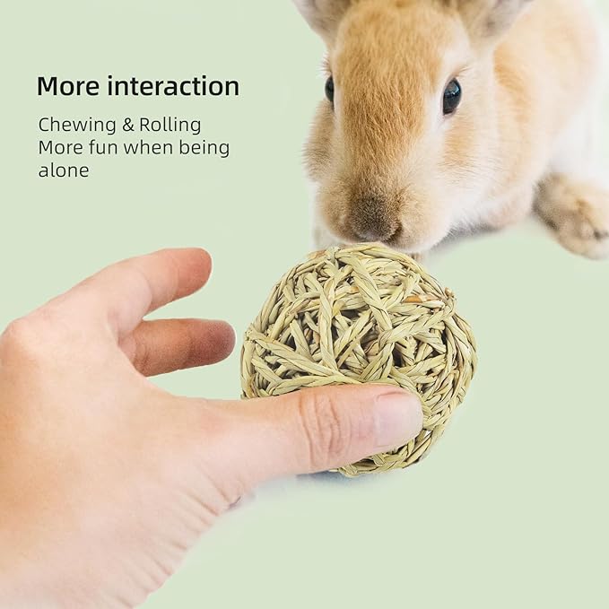 andwe Small Animals Play Balls Rolling Chew Toys & Gnawing Treats for Rabbits Guinea Pigs Chinchilla Bunny Degus - Pet Cage Entertainment Accessories (Pack of 9)