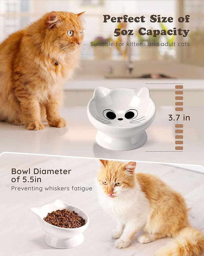 Raised Cat Food Bowl Ceramic 15° Tilted Cat Food Bowls Protect Cat's Spine Anti Vomiting Backflow Prevention for Adult, Kitten, and Small Dogs, White