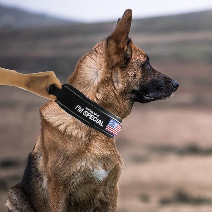 2.5" Tactical Dog Collar for Medium Dogs, Adjustable Heavy Duty Military Nylon Dog Collar with Reflective Stitching & Padded Handle for Hiking/Running/Training (Black,M)