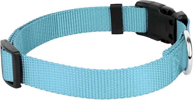 Country Brook Petz - Everyday Nylon Dog Collar and Leash - 10+ Cool Colors (3/8 Inch, 2XS, Ocean Blue)