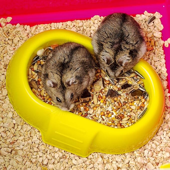 Ferplast Laura Small Hamster Cage | Fun & Interactive Cage Measures 18.11L x 11.61W x 14.8H & Includes All Accessories
