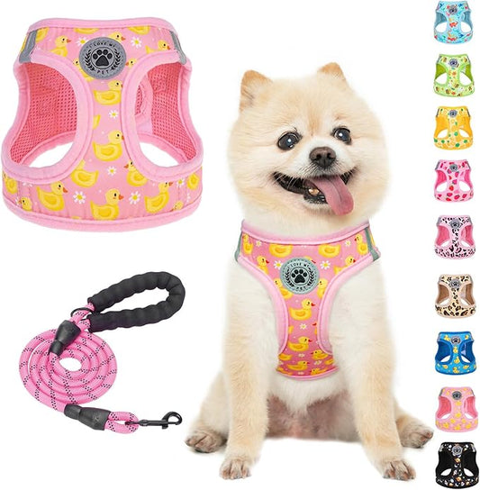 BEAUTYZOO Dog Harness Small Sized and Leash Set, Step-in Soft Padded Mesh Puppy Vest, Reflective Dog Harness No Pull No Choke, Breathable Easy Walking Vest Harnesses for Girl Boy Pets,Pink Ducks XS