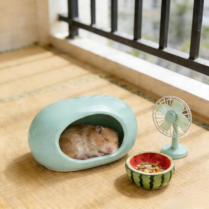 Ceramic Hamster Hideout Large Cool Summer Cute Guinea Pig Bed House for Dwarf Hamsters, Mices, Gerbils and Small Pets (Green,M)