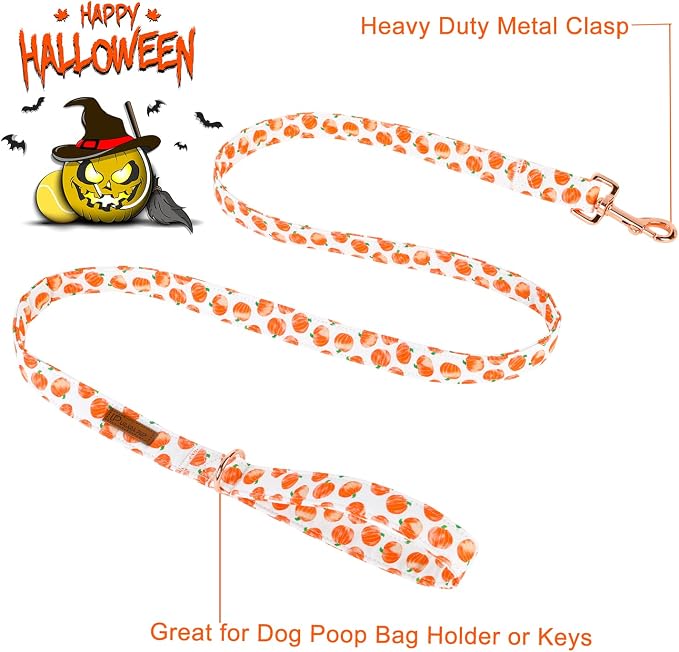 Dog Leash & Collar Set, Sturdy Durable Cotton, Halloween Pumpkin Pattern for Small to Large Dogs